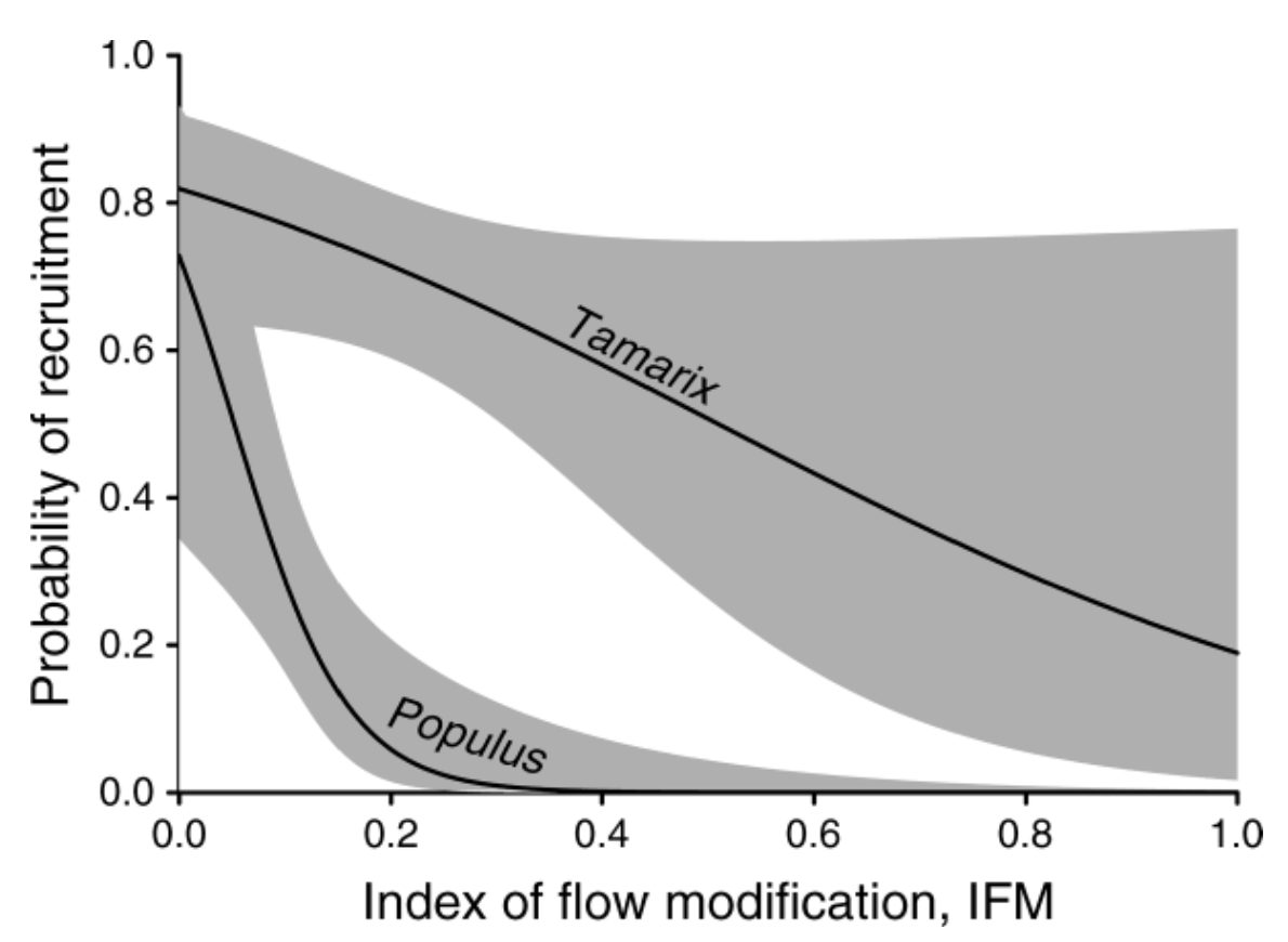 Figure 1 (from Merritt and Poff 2010). Logistic regression models of Populus and Tamarix recruitment as a function of index of flow modification (IFM; shaded area indicates upper and lower 95% confidence intervals). Likelihood ratio tests indicated that Populus regeneration is indeed a function of flow modification (P = 0.0002), declining rapidly with increasingly altered flows. Tamarix recruitment also declined as a function of flow modification, but this relationship was not statistically significant (P =
