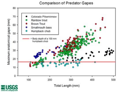 Fig. 1: Comparison of Predator Gapes