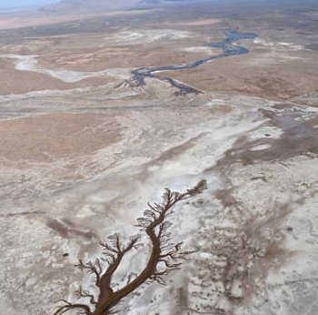  The Colorado River stops short of the sea. Photo by Francisco Zamora, with aerial support provided by LightHawk.