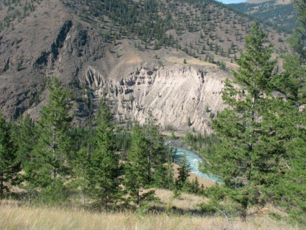 Figure 1. Erosion of steep cut banks of glacially-derived sediment is visible here along the Chilcotin River at Big Creek.