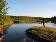 Photo 1: A typical Kobuk River side channel