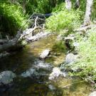 Scott River Miner Creek 2